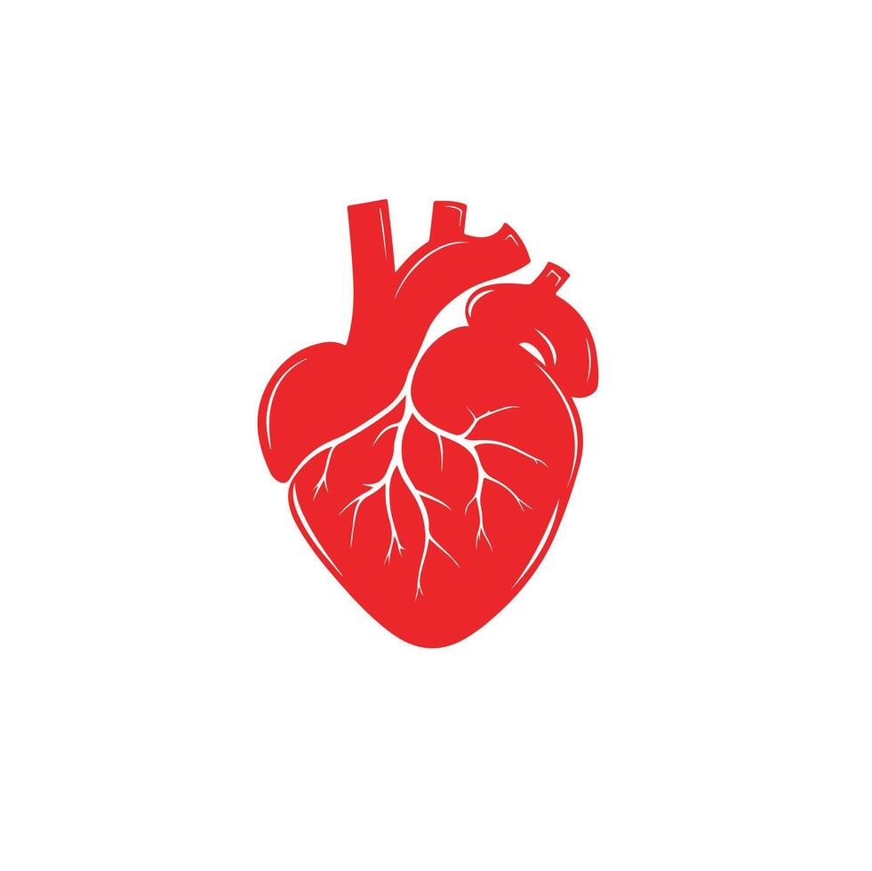 human heart icon illustration vector