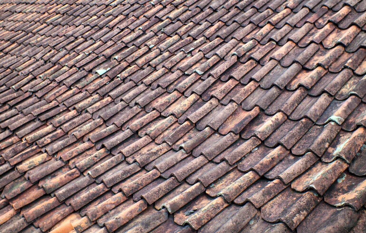 Rustic Clay Roof Tiles with Weathered Texture photo