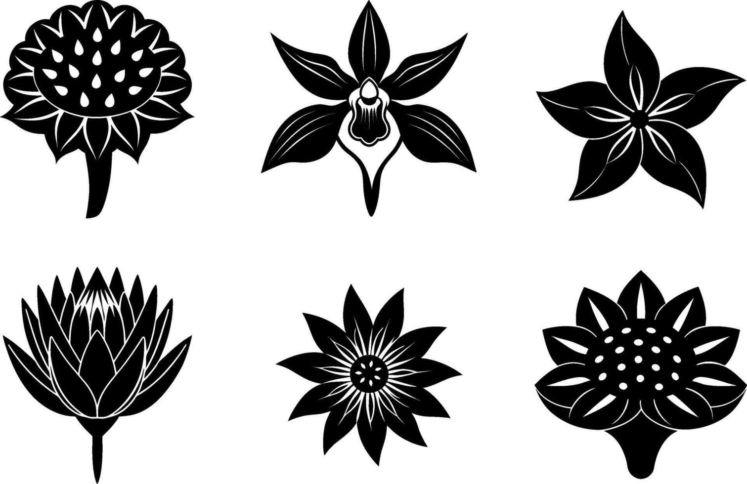 Exotic and Rare Flower Silhouette Set vector
