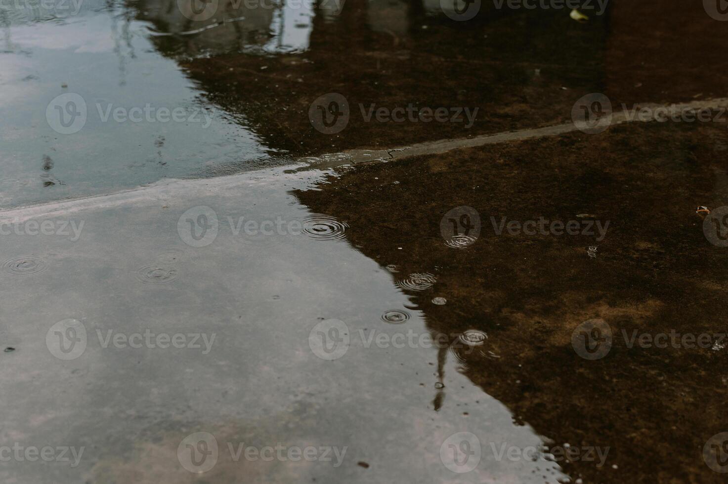 Raindrops creating circular ripples on a wet concrete surface texture photo