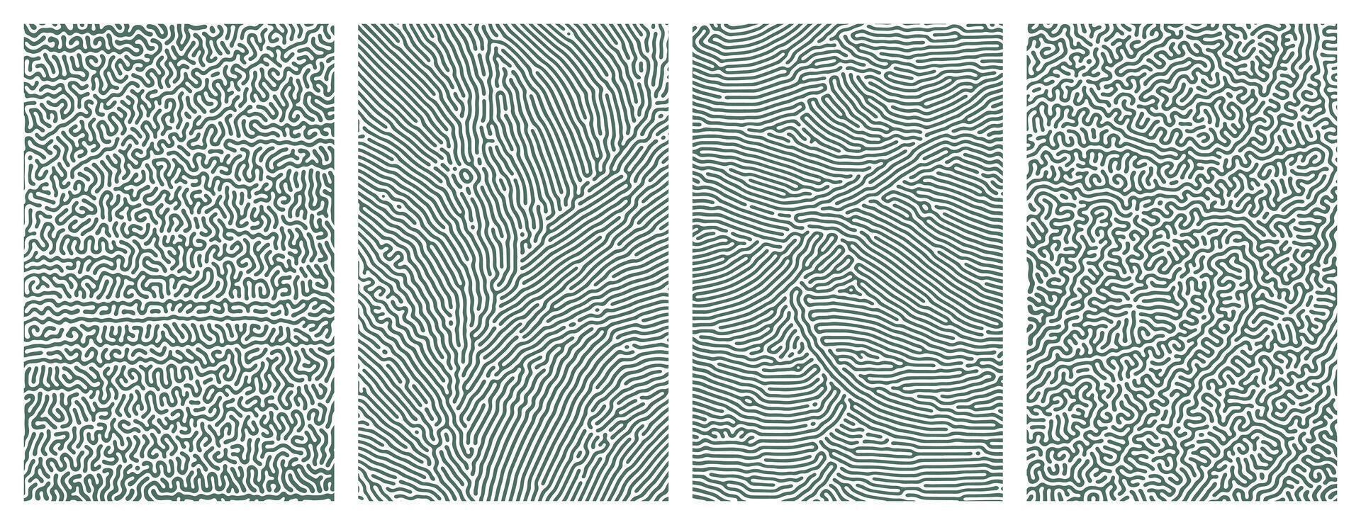 Pack of green abstract organic line turing patterns designs for backgrounds vector