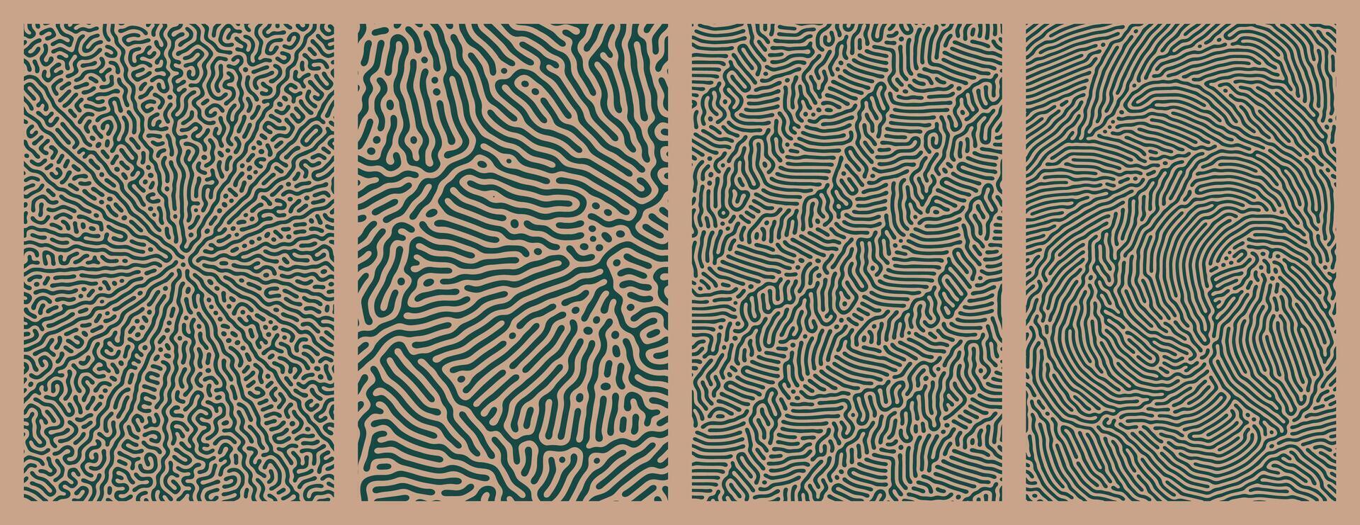 collection abstract background designs with organic Turing style line patterns vector