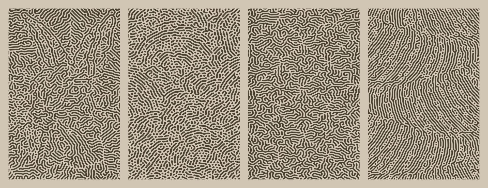 Background design featuring organic, abstract Turing style line patterns vector