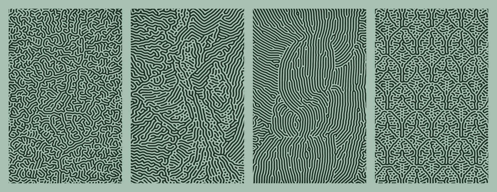 A collection of abstract green organic line turing patterns perfect for backgrounds vector