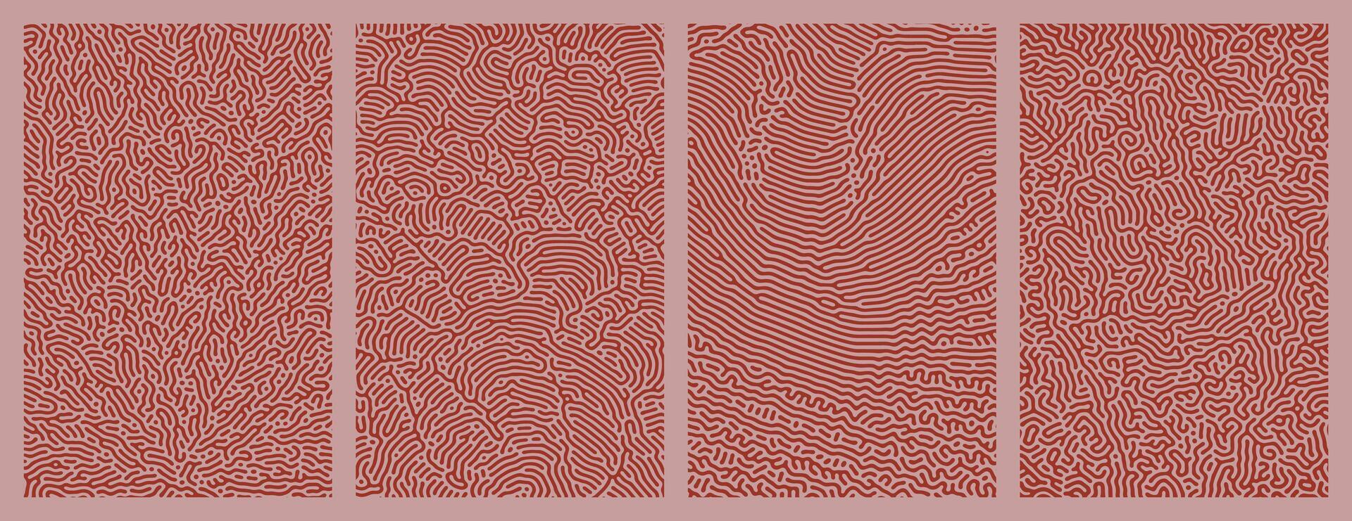 A set red collection of abstract organic line turing patterns perfect for backgrounds vector