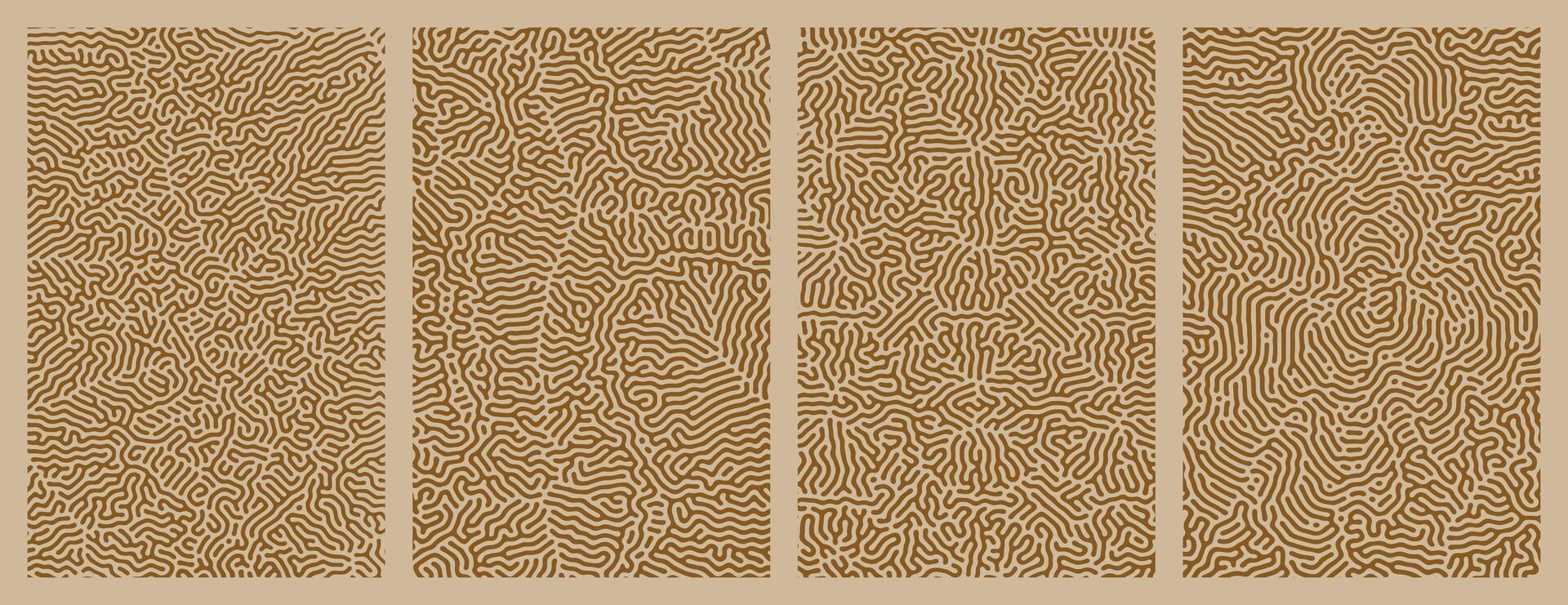 A set brown collection of abstract organic line turing patterns perfect for backgrounds vector