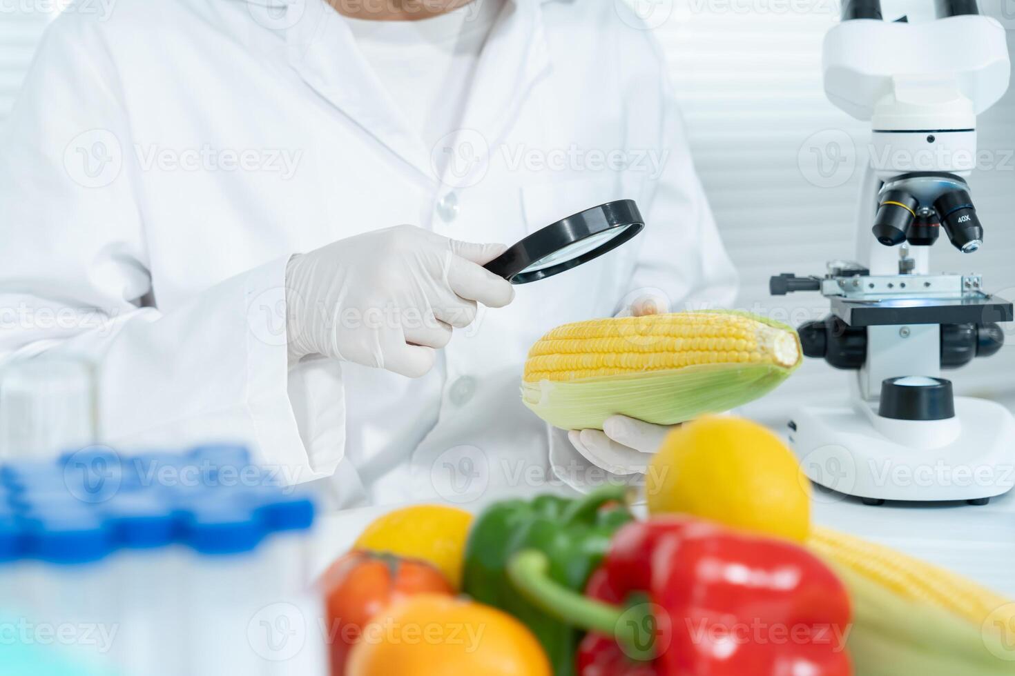 chemical food residues in laboratory. Control experts inspect quality of fruits, vegetables. lab, hazards, ROHs, find prohibited substances, contaminate, Microscope, Microbiologist. photo