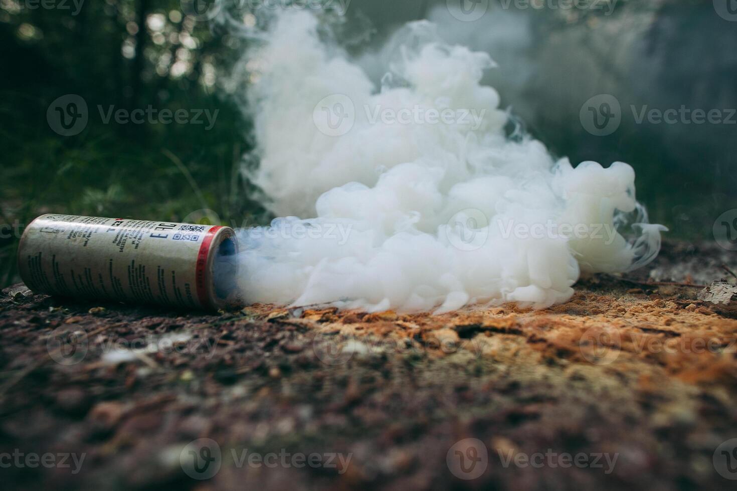 A can of spray paint is sitting on the ground photo