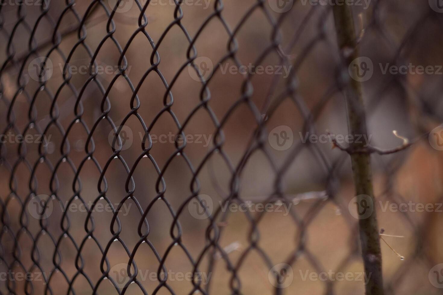 A close up of a chain link fence photo
