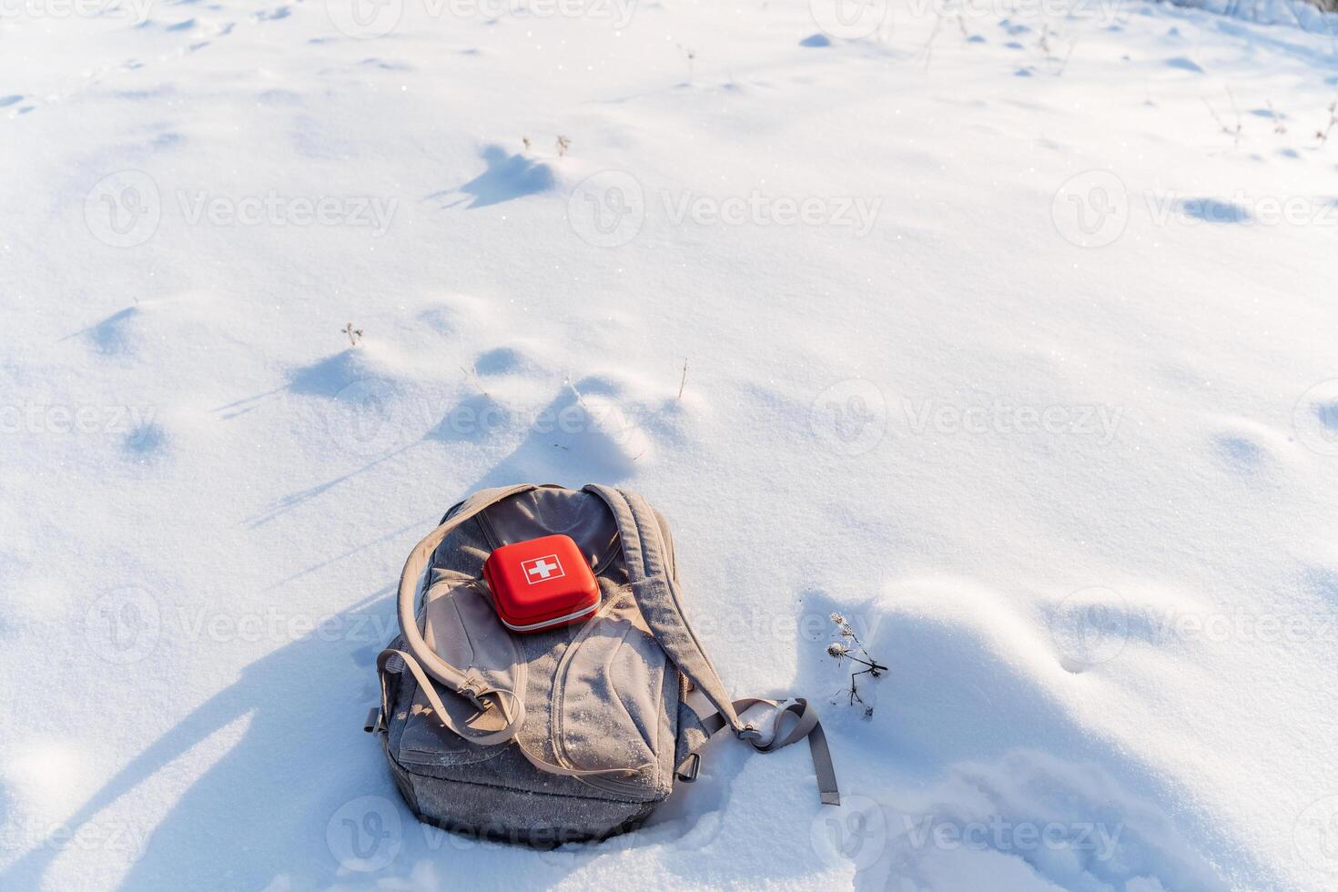 backpack is sitting in the snow photo