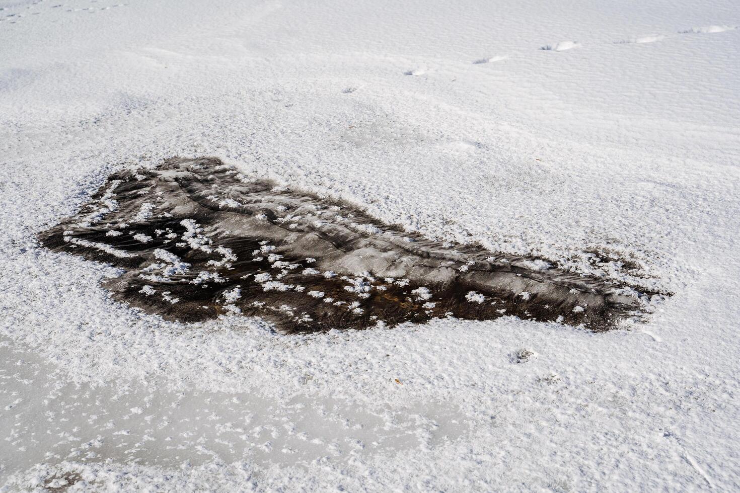 A snow covered area with footprints in the snow photo