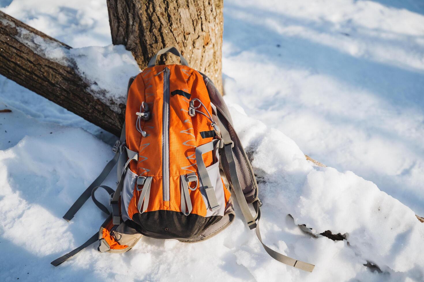 An orange backpack is resting carefully against a tall, sturdy tree in the midst of a vast, snowy landscape, helping to create a truly beautiful and serene winter wonderland experience photo