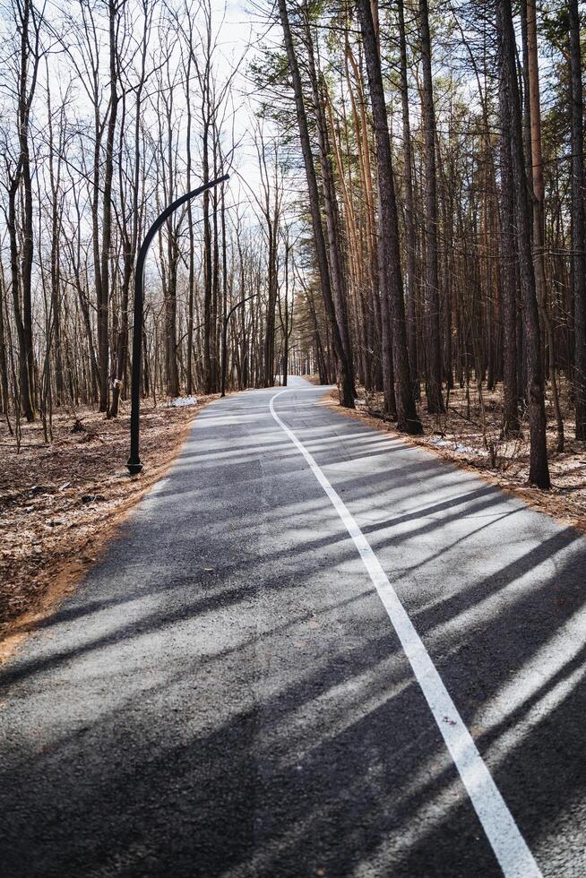 A road with a sign on it in the woods photo