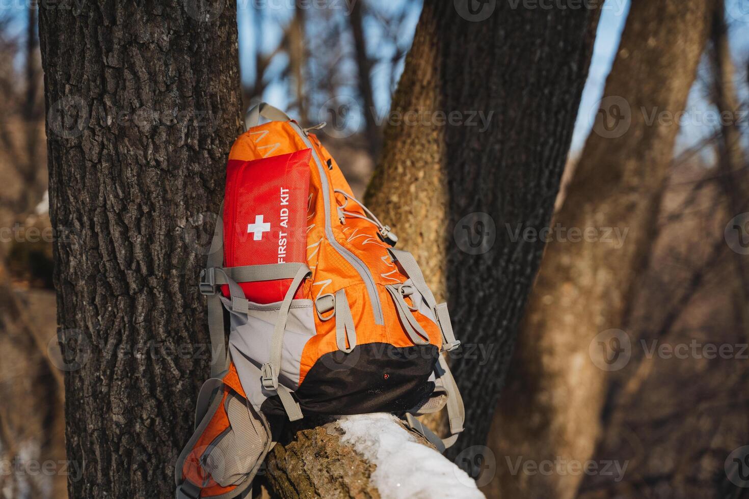 An orange backpack containing a wellequipped first aid kit is leaning casually against a sturdy tree, ready for any adventure that may come its way during outdoor activities photo