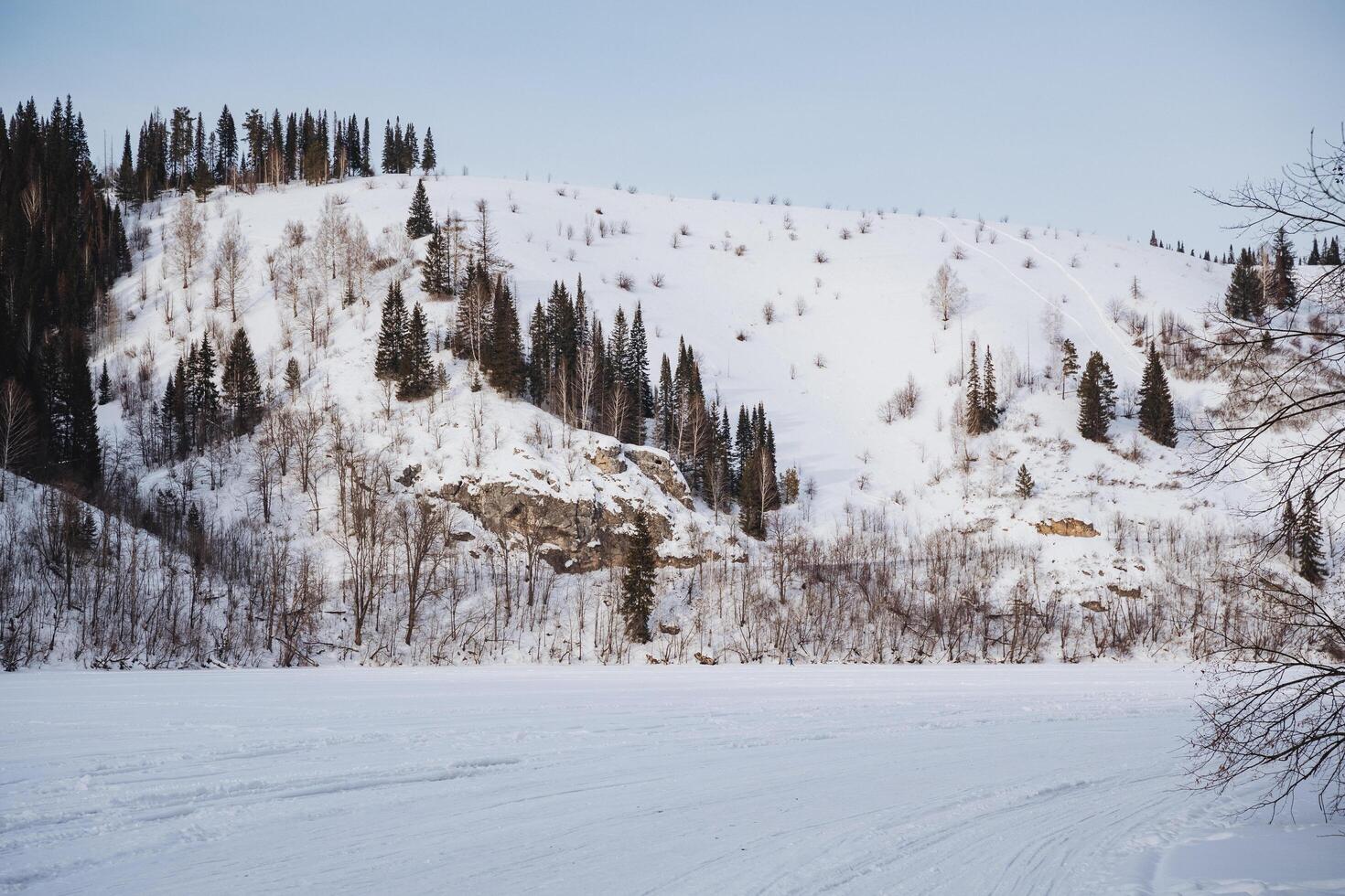 A picturesque snowy mountain rises majestically, adorned with tall trees along its rugged sides, while a tranquil lake glimmers in the foreground, creating a scenic winter landscape photo