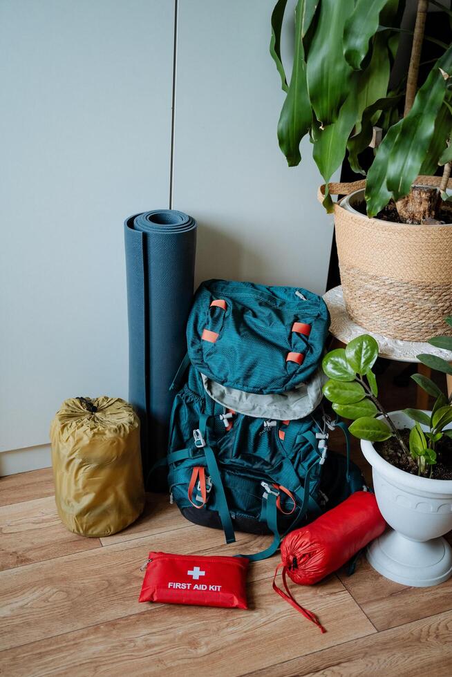 In this tranquil and peaceful room, a cozy and comfy backpack rests on the warm wooden floor beside a vibrant and colorful plant, enhancing the serene and welcoming ambiance of the space photo