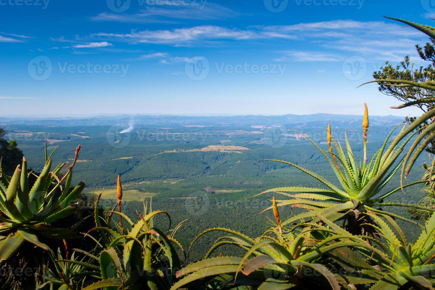 Landscape and scenery of the panorama route in South Africa. View at nature and valley photo