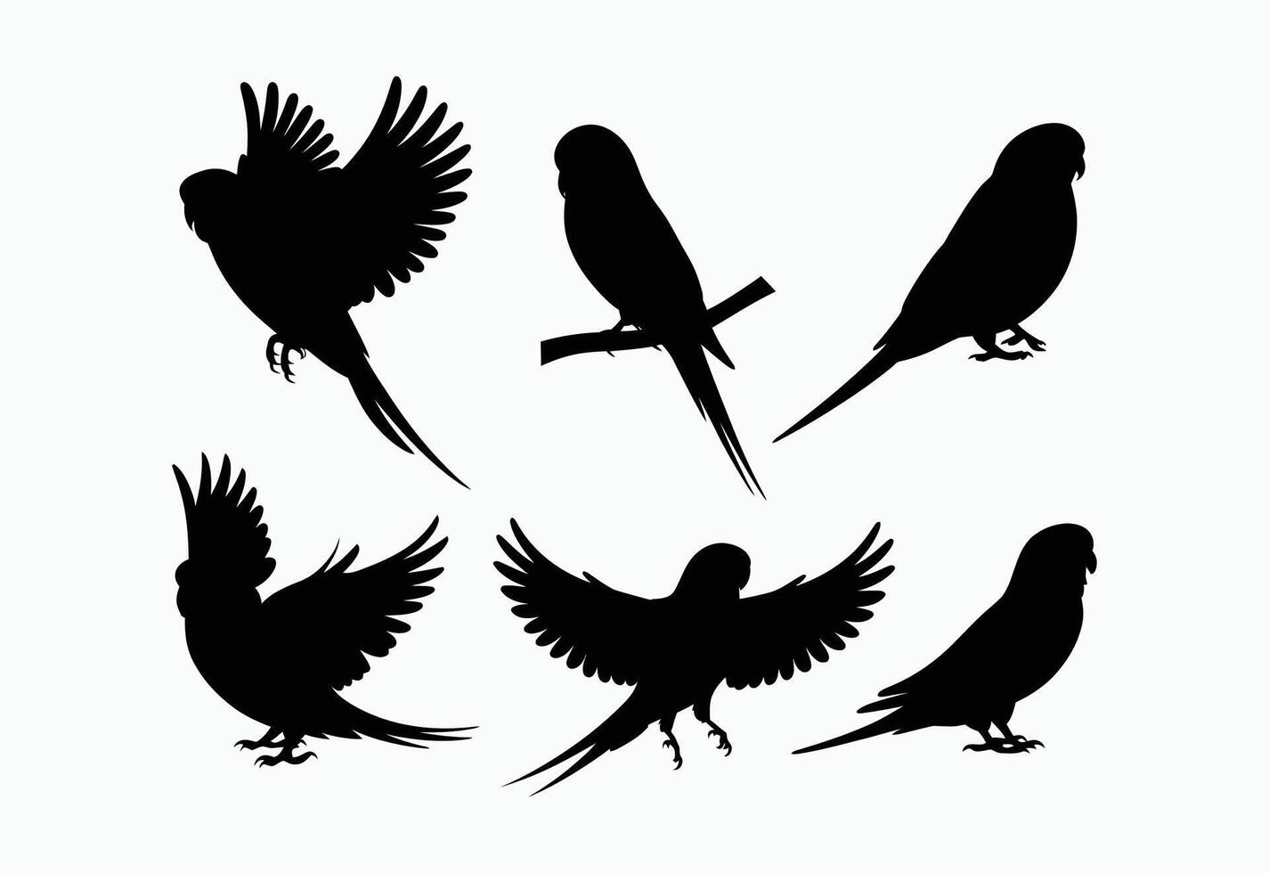 Unique Budgie Silhouette Template Collection vector