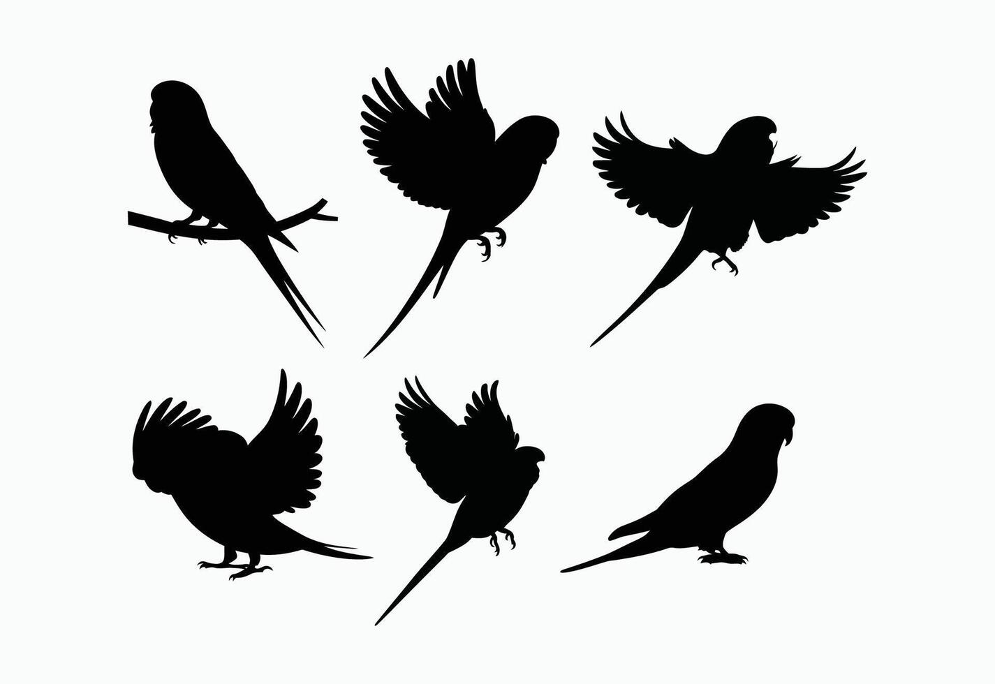 Versatile Budgie Silhouette Collection Template vector