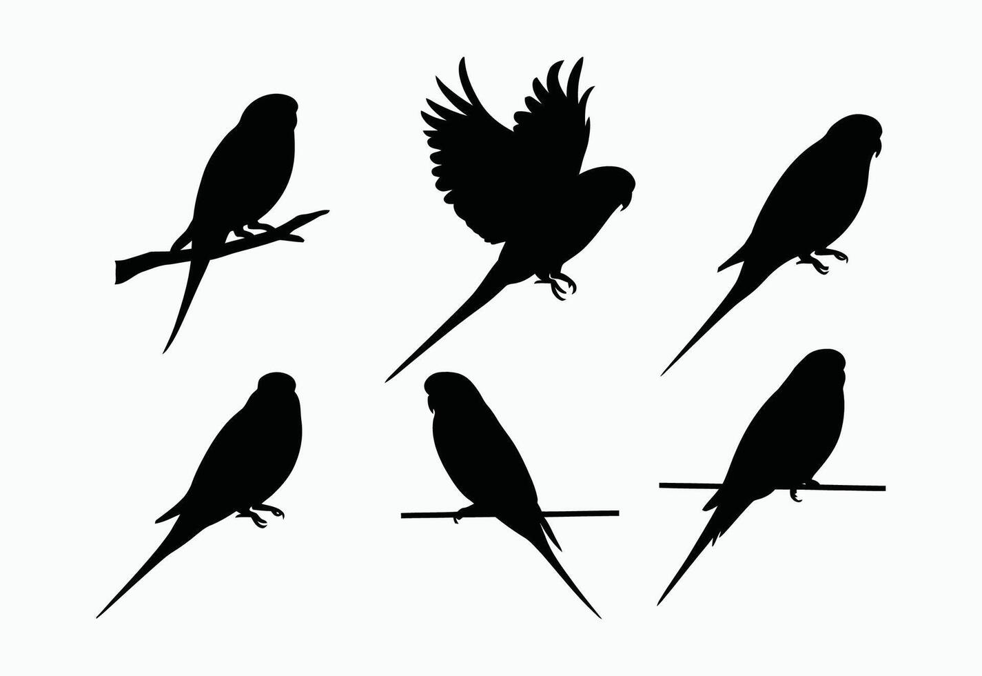 Elegant Budgie Silhouette Template vector