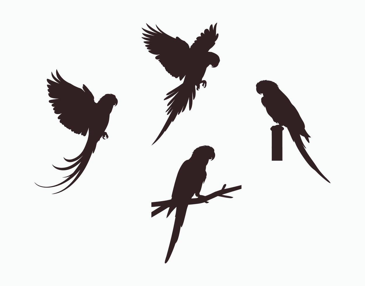 Parrot Silhouette Collection Template vector