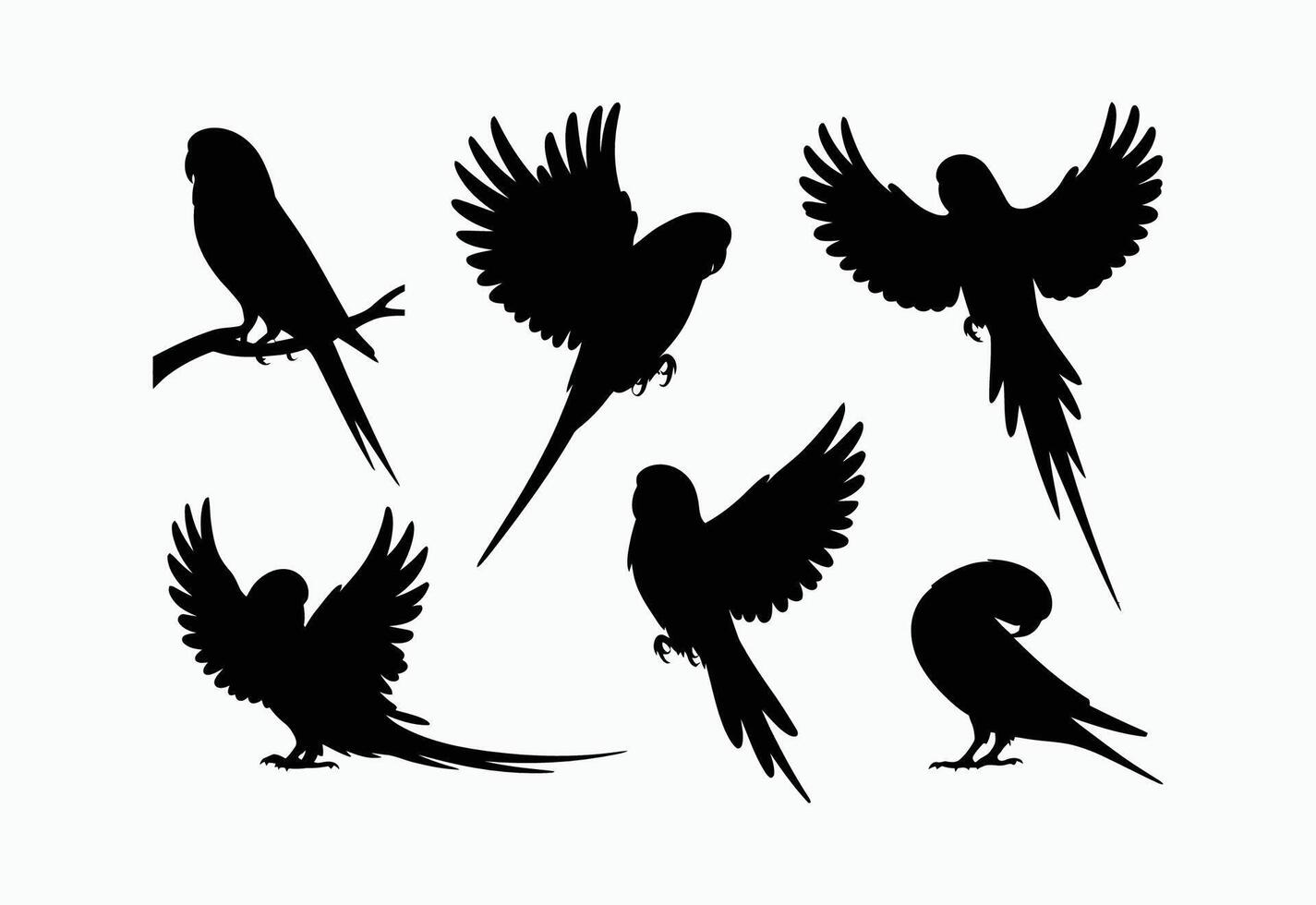 Modern Budgie Silhouette Template Collection vector