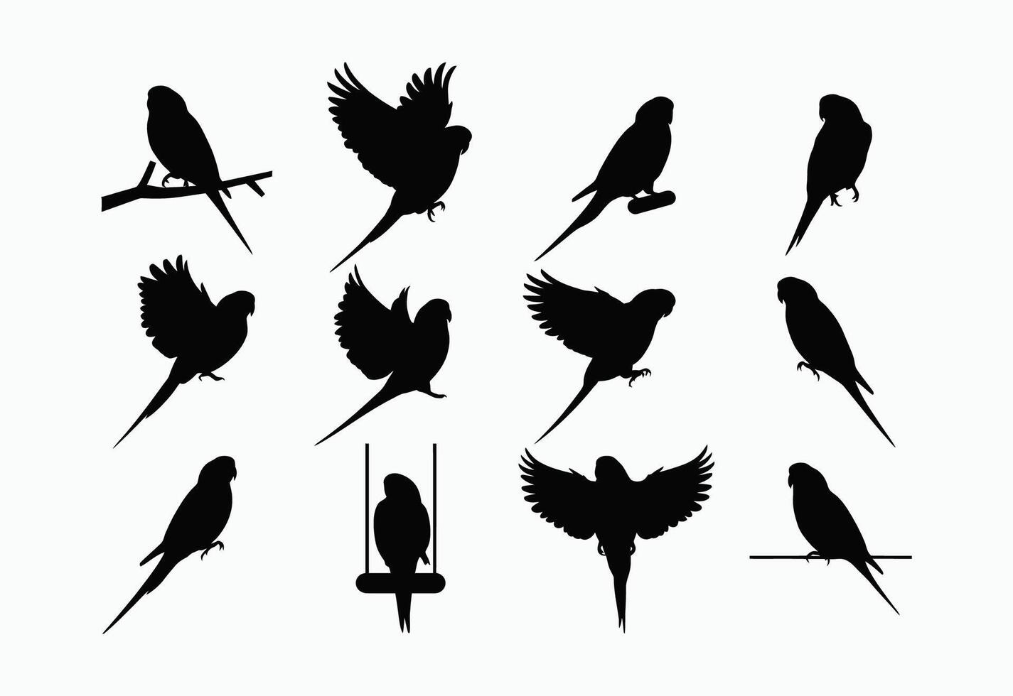 Beautiful Budgie Silhouette Template vector
