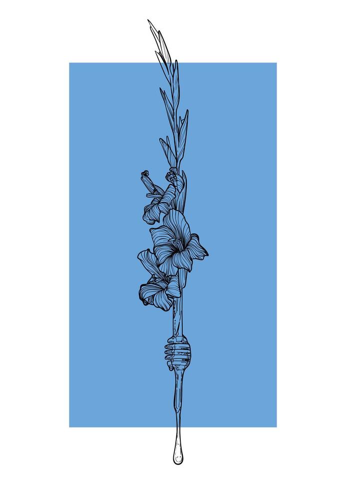 A4 poster design with a line art gladiolus flower combined with a dipper dripping honey. Hand drawn illustration. vector