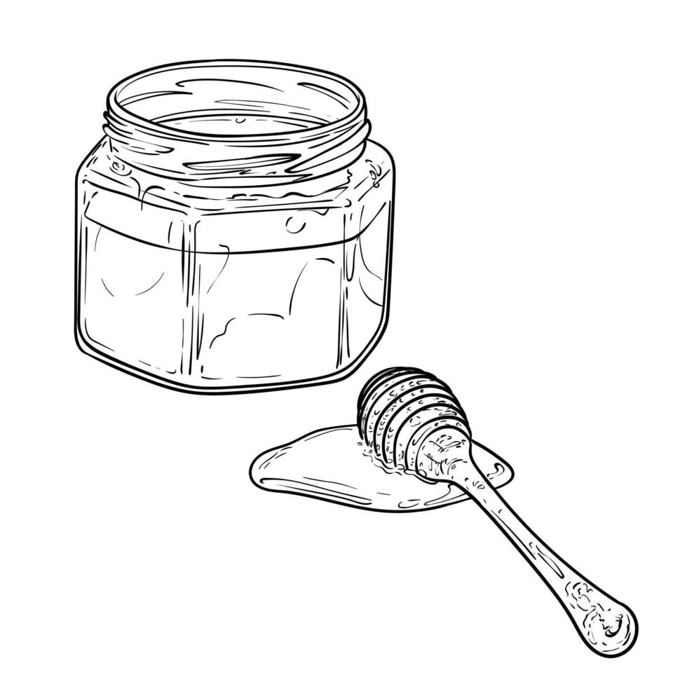 Line art honey jar dipper dipped in honey on the side. honey in a glass jar. Hand drawn illustration of sweet dessert. Outline only, isolated on white background. vector