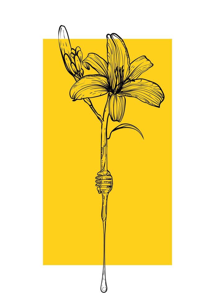 A4 poster design with a line art tiger lily flower combined with a dipper dripping honey. Hand drawn illustration. vector