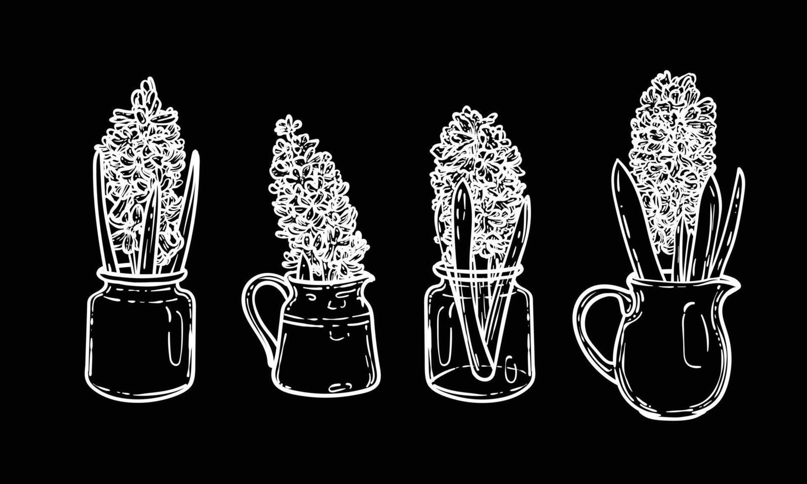 Hand drawn black and white hyacinths with leaves in a jars an vases. Line art spring flower illustration. Doodle of a flower in a banner design. Ready to be used in print and online projects. vector
