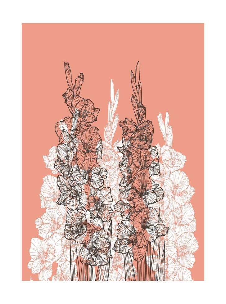 A4 gladiolus illustration in coral and white. graphic asset for print projects with hand drawn autumn flowers. Dia de los Muertos botanical highly detailed and quality flower print. vector
