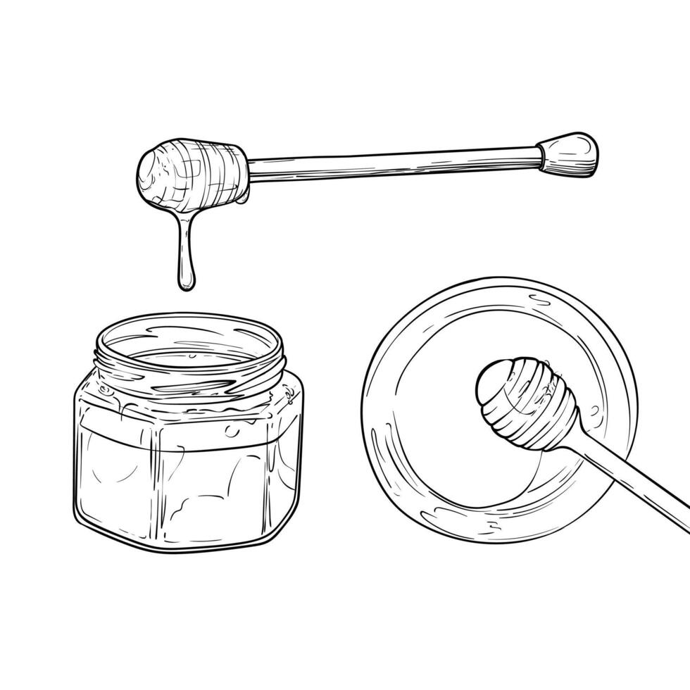 Line art top and side view of honey jars. honey dripping from a dipper. Hand drawn illustration of sweet dessert. Outline only, isolated on white background. vector