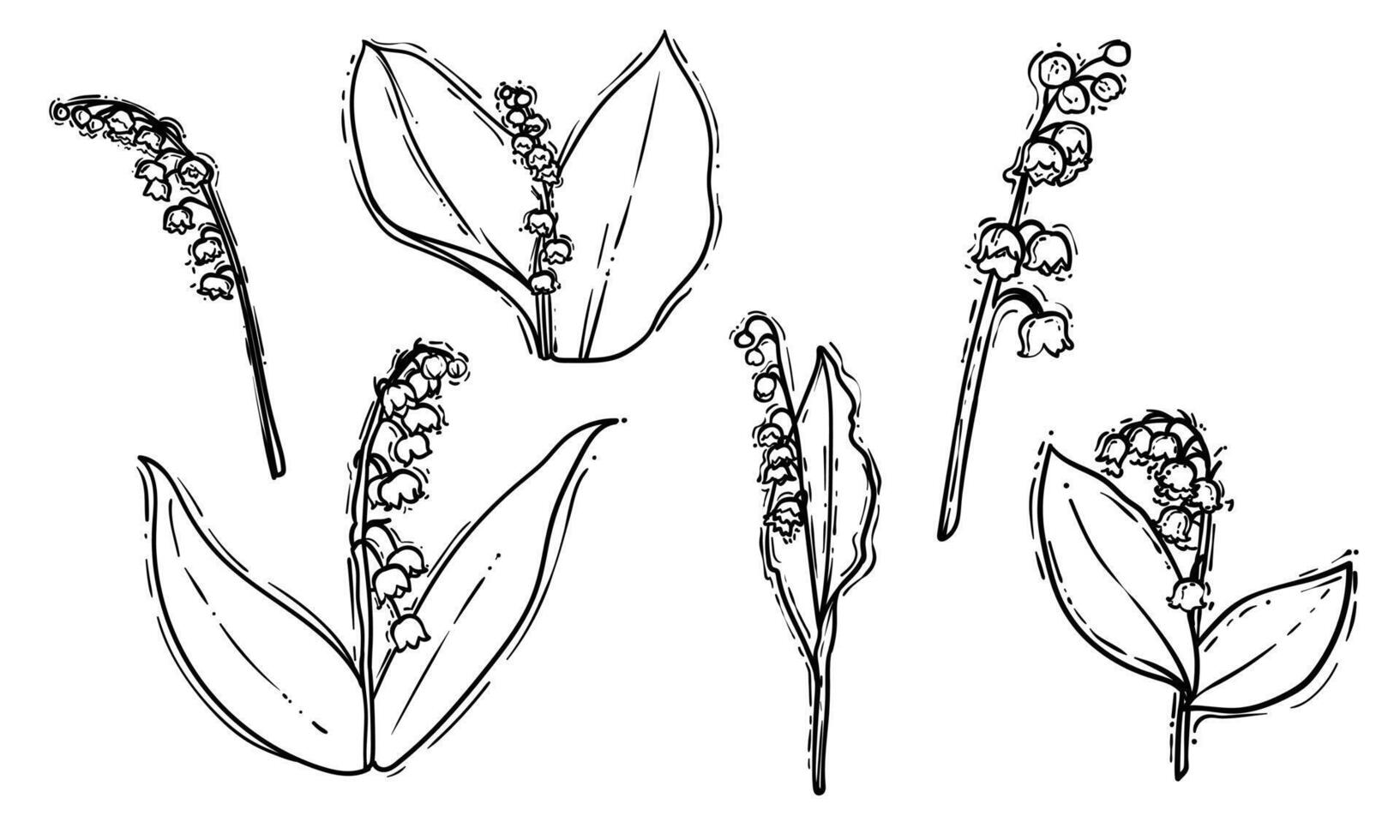 Set of hand drawn lilies of the valley. Black line art of beautiful winter flowers isolated on a white background. Illustration for online and print projects. vector