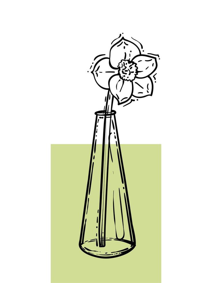Hand drawn narcissus in a vase. Line art spring flower illustration. Doodle of a flower in a green poster design. Ready to be used in print and online projects. vector