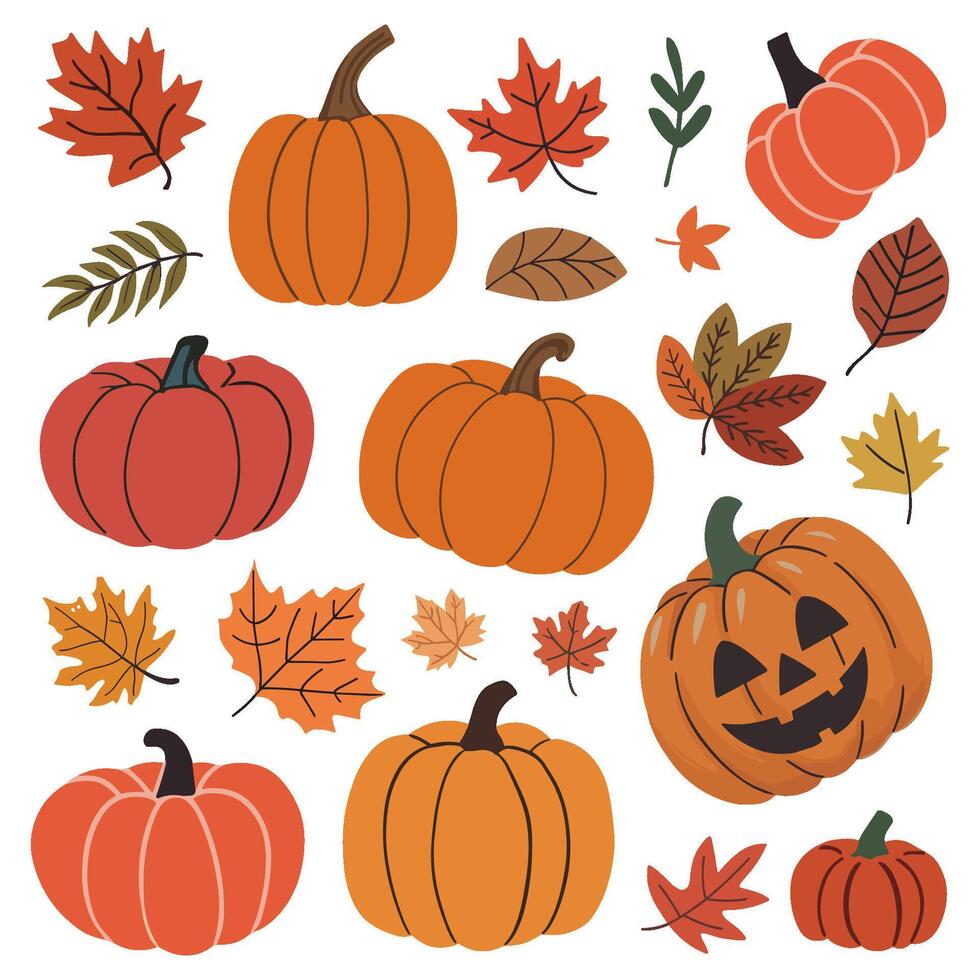 collection of pumpkins and leaves with a Halloween autumn theme vector