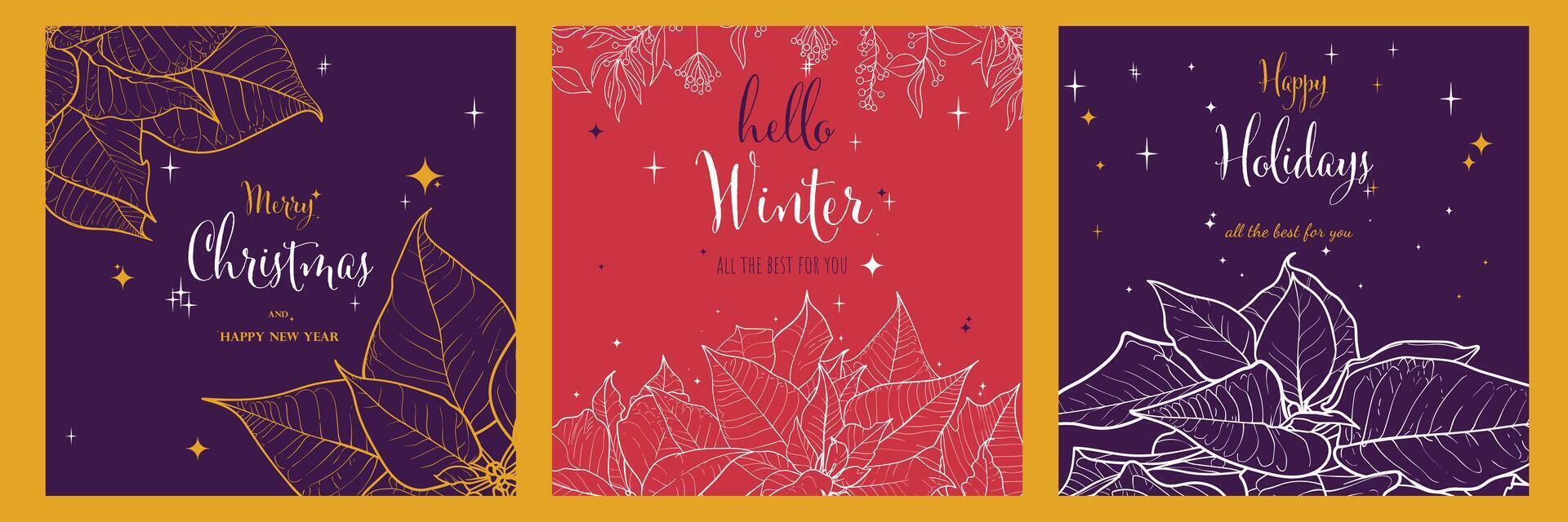 hand drawn Poinsettia on three square visuals for social media or for prints such as cards, menus. Line art Poinsettia flower hand drawn in format. vector