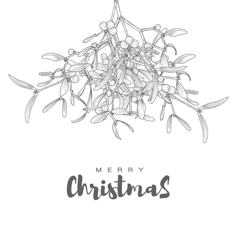 Square visual designed for Christmas social media post. Minimalist design with beautiful hand written text and line art outline mistletoe. Design for print and online projects. vector