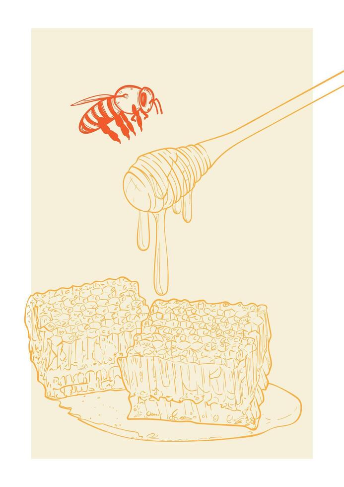 Line art honey illustrations with honeycomb, bees and a dipper dripping honey. Hand drawn illustration. vector