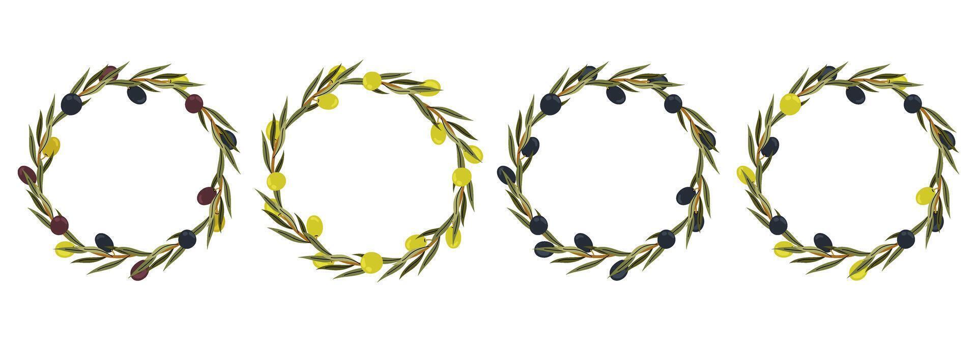 Set illustrations wreath with ripe olives. Olive wreath for decoration. For Wedding, Invitation, Greeting, menu, packaging. vector