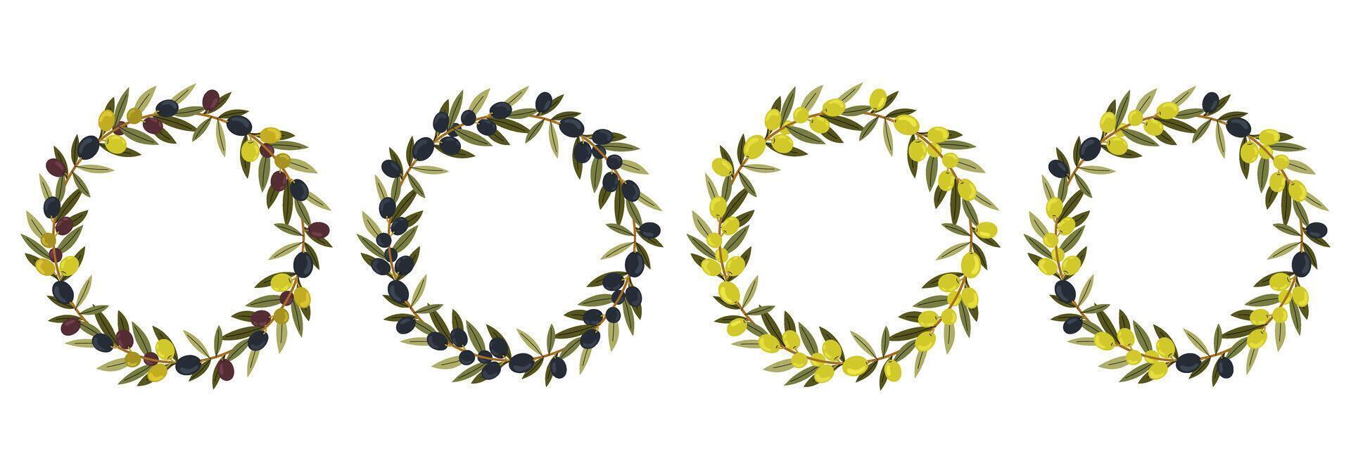 Olive wreath for decoration. Set illustrations different wreath with ripe olives. For Wedding, Invitation, Greeting, menu, packaging. vector