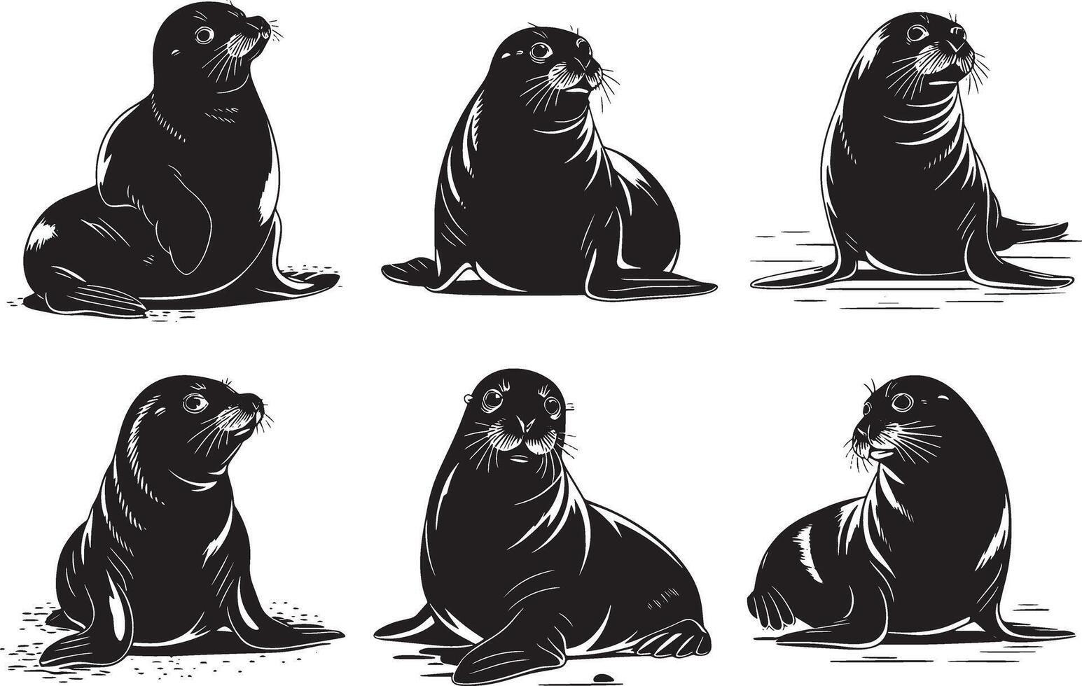 Six Adorable Seal Pups Illustrations vector