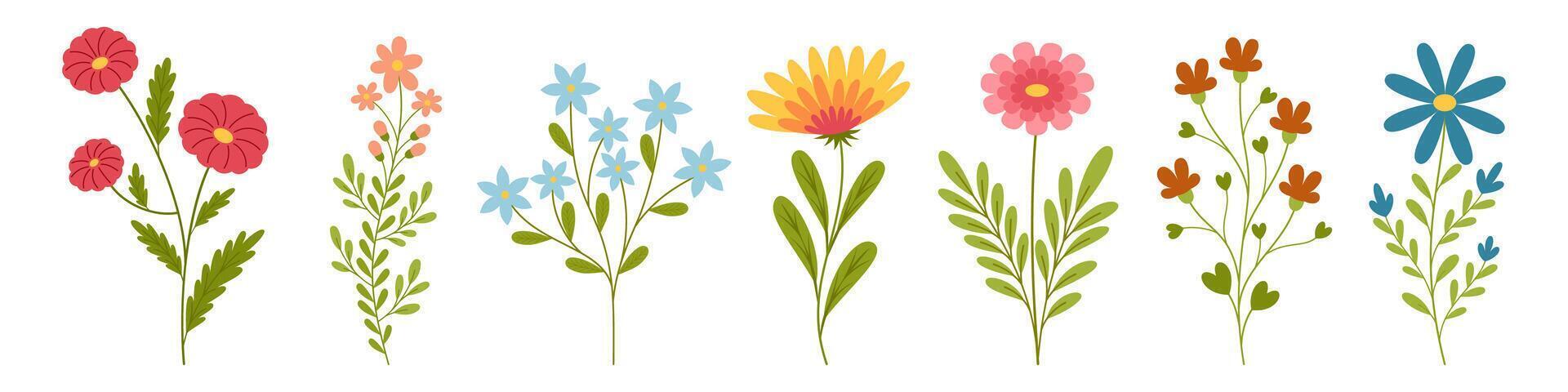 Set of cute summer flowers vector