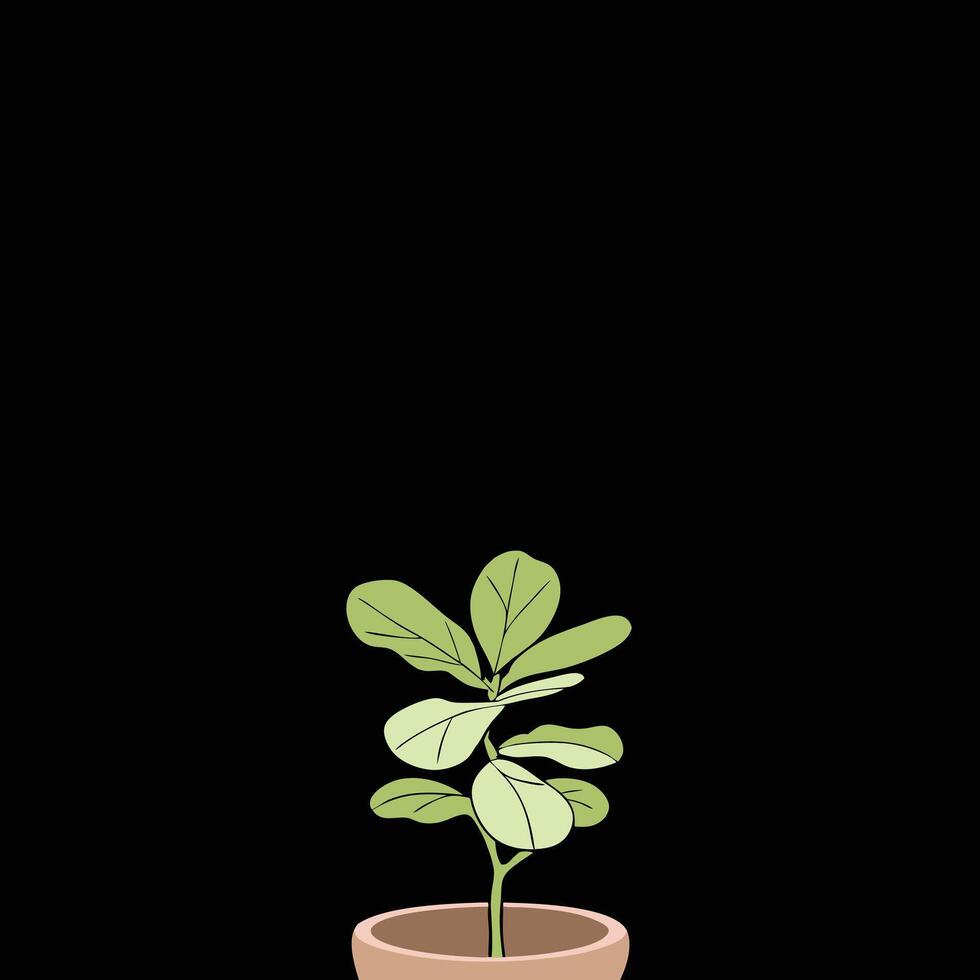 Contemporary Potted Fiddle Leaf Fig for Home Decor vector