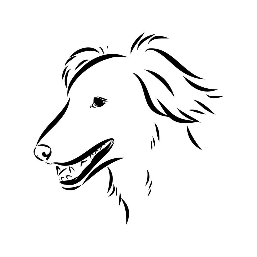 The head of a dog is a Central Asian greyhound hand-drawn vector