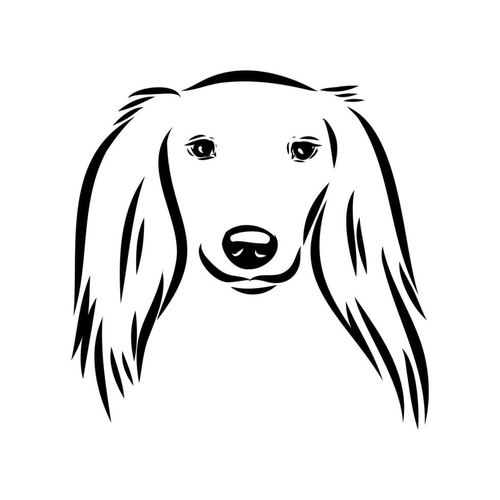 The head of a dog is a Central Asian greyhound drawing vector