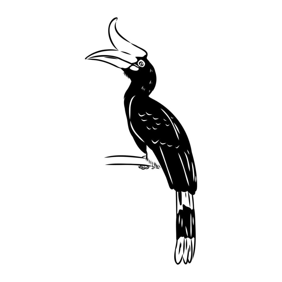 rhino bird hand sketch vector