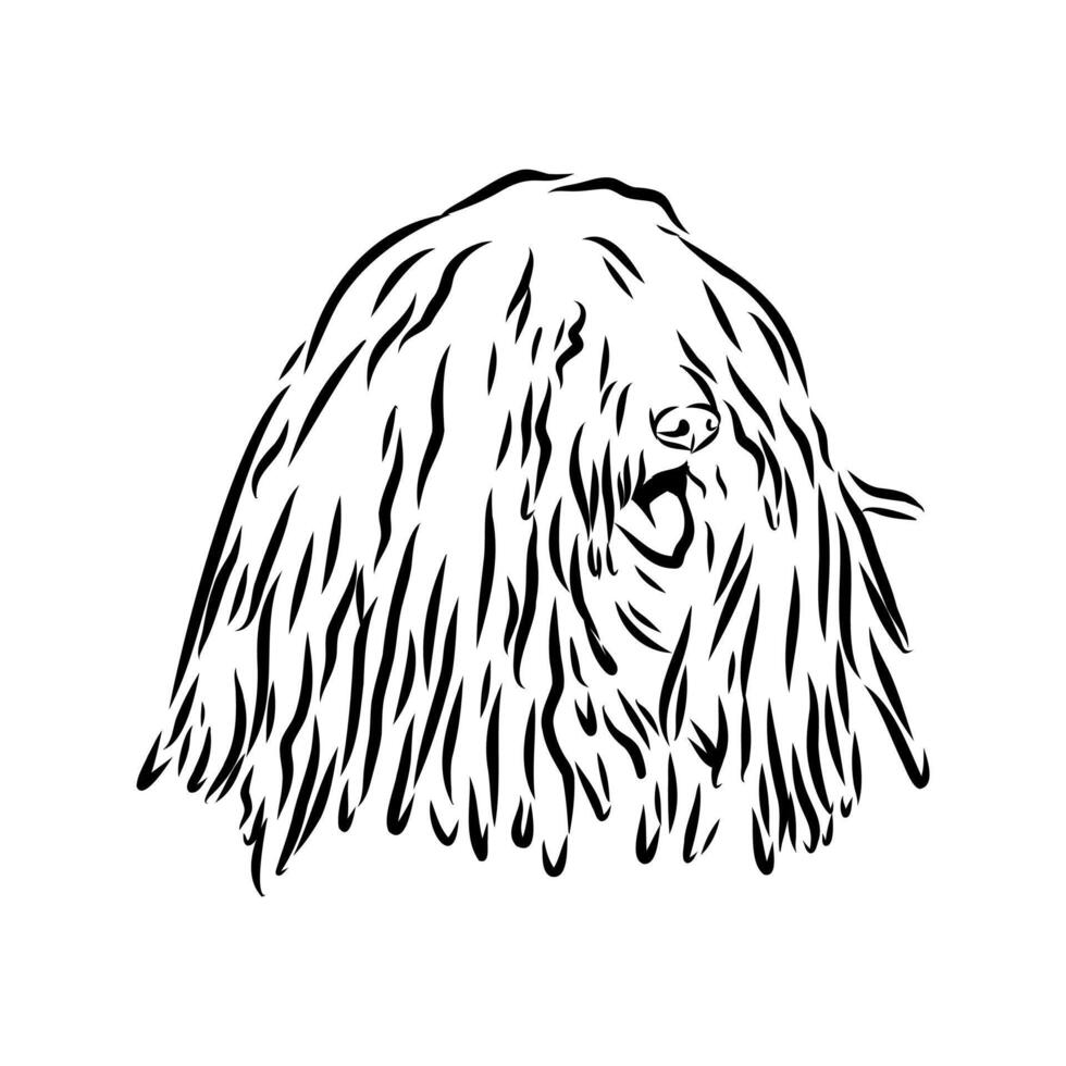 puli shepherd dog head sketch vector