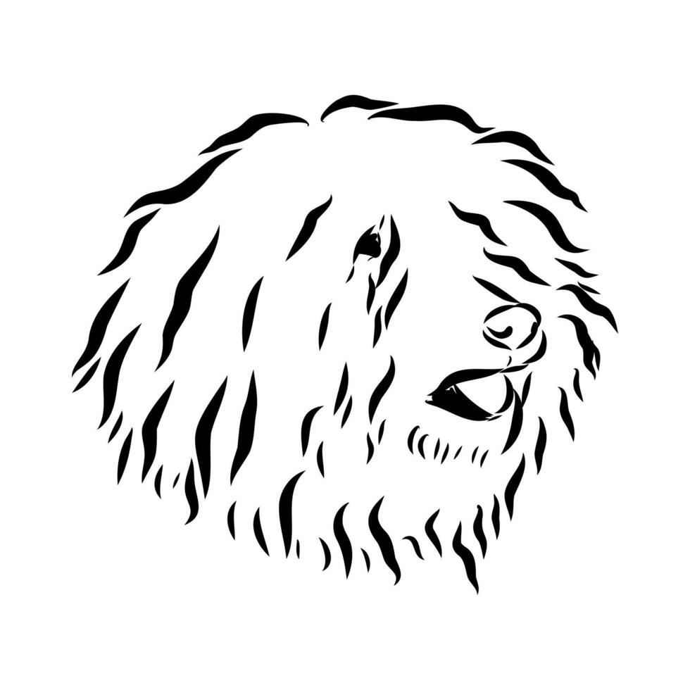 puli shepherd dog head drawing vector