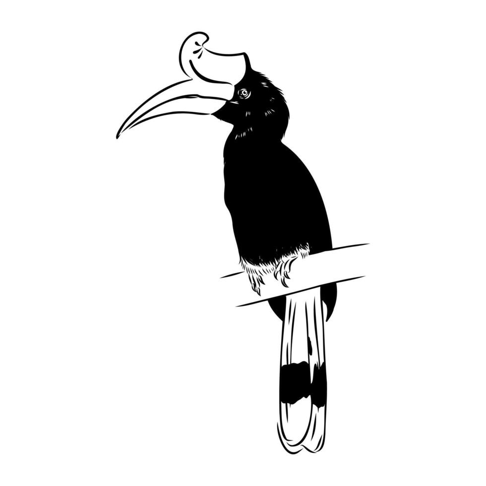 Wild rhino bird black and white sketch vector